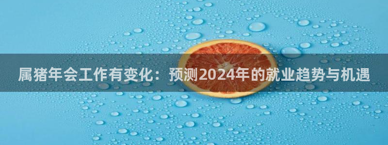 卧龙娱乐招商：属猪年会工作有变化：预测2024年的就业趋势与机遇