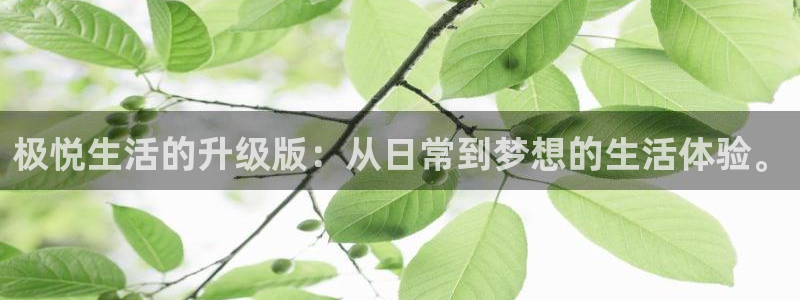 卧龙娱乐体育4：极悦生活的升级版：从日常到梦想的生活体验。