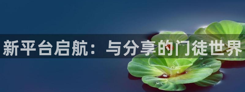 卧龙娱乐代理：新平台启航：与分享的门徒世界