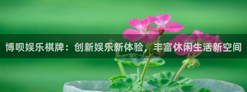 卧龙娱乐体育凯捷平台注册：博呗娱乐棋牌：创新娱乐新体验，丰富休闲生活新空间