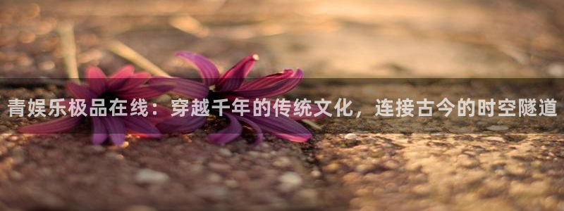 卧龙娱乐体育娱乐注册链接：青娱乐极品在线：穿越千年的传统文化，连接古今的时空隧道
