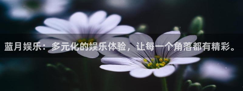 卧龙娱乐体育4：蓝月娱乐：多元化的娱乐体验，让每一个角落都有精彩。