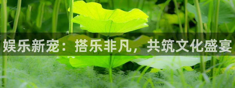 卧龙娱乐体育平台总代理