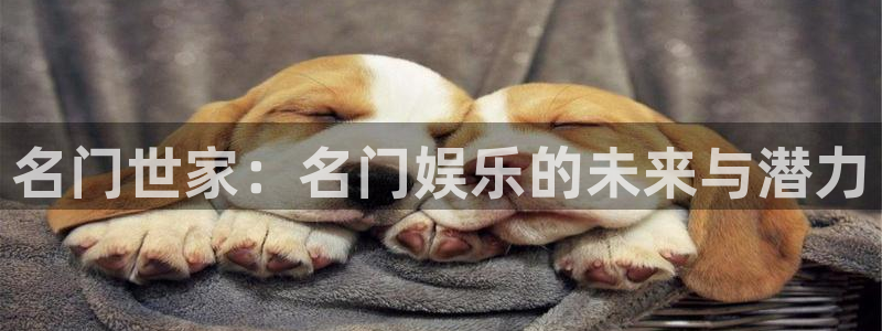 卧龙娱乐kgame
