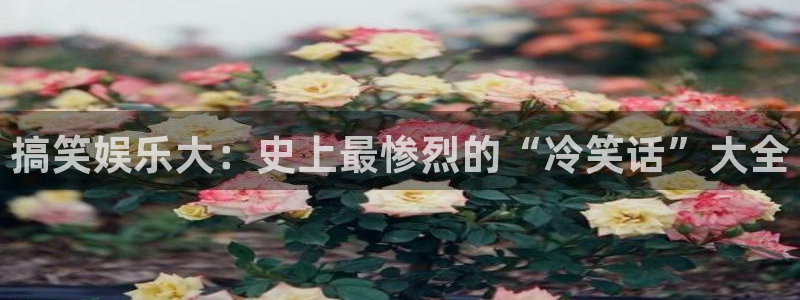 卧龙娱乐4注册