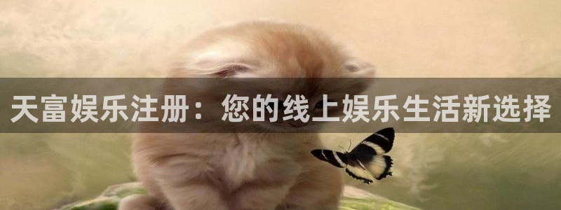 卧龙娱乐电子有限公司
