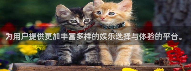 卧龙娱乐体育游戏