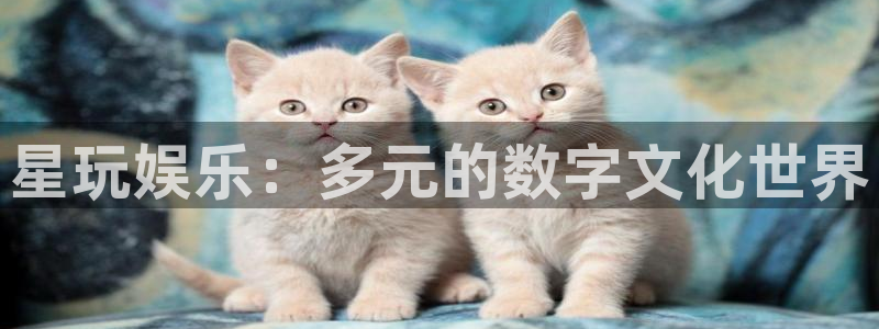 卧龙娱乐体育官网