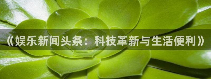 卧龙娱乐2体育