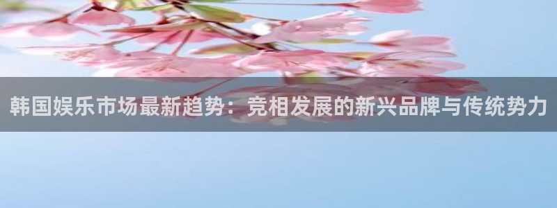 成都卧龙娱乐电子有限公司
