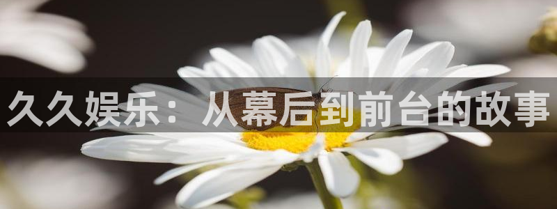 卧龙娱乐平台在线注册