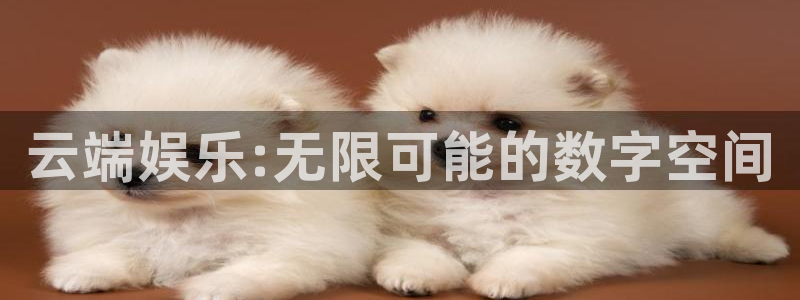 卧龙娱乐电子有限公司