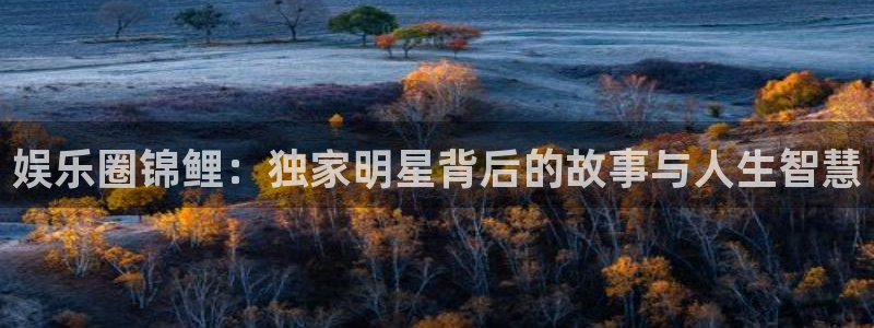 卧龙娱乐体育注册代理