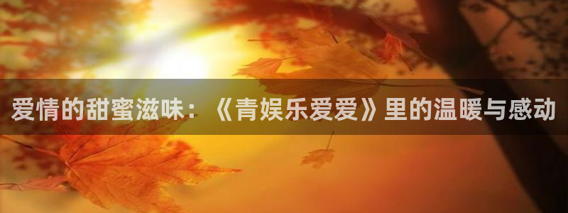 卧龙娱乐5