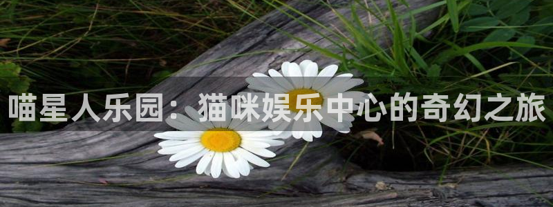 卧龙娱乐3平台注册：喵星人乐园：猫咪娱乐中心的奇幻之旅