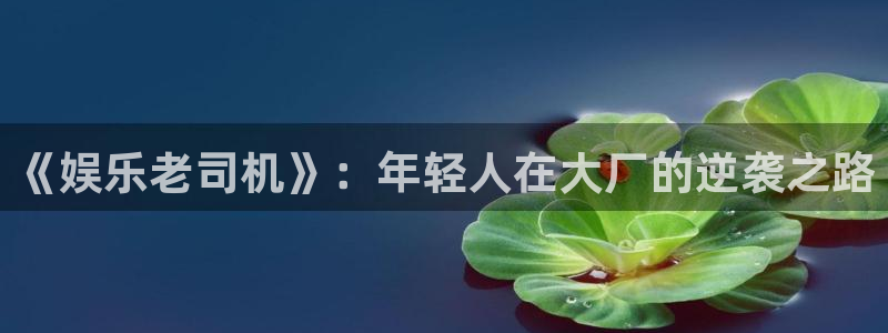 卧龙娱乐2平台注册：《娱乐老司机》：年轻人在大厂的逆袭之路