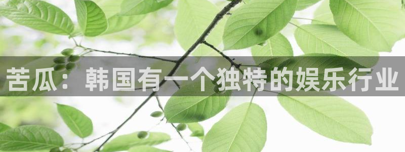 卧龙娱乐主管：苦瓜：韩国有一个独特的娱乐行业